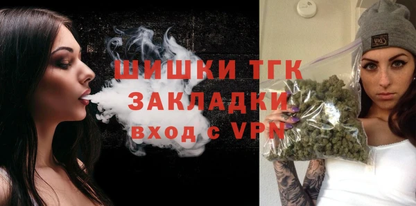 гидропоника Алзамай