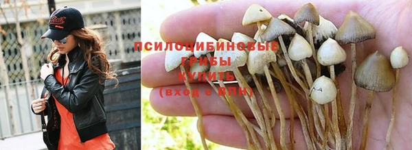 гидропоника Алексеевка